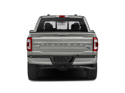 2023 Ford F150 Platinum
