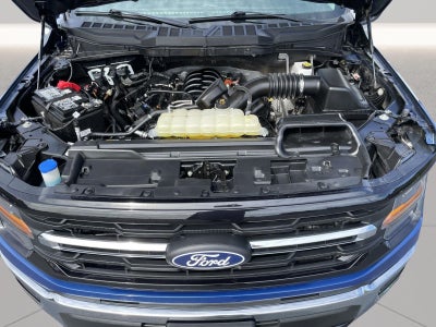 2025 Ford F150 XLT